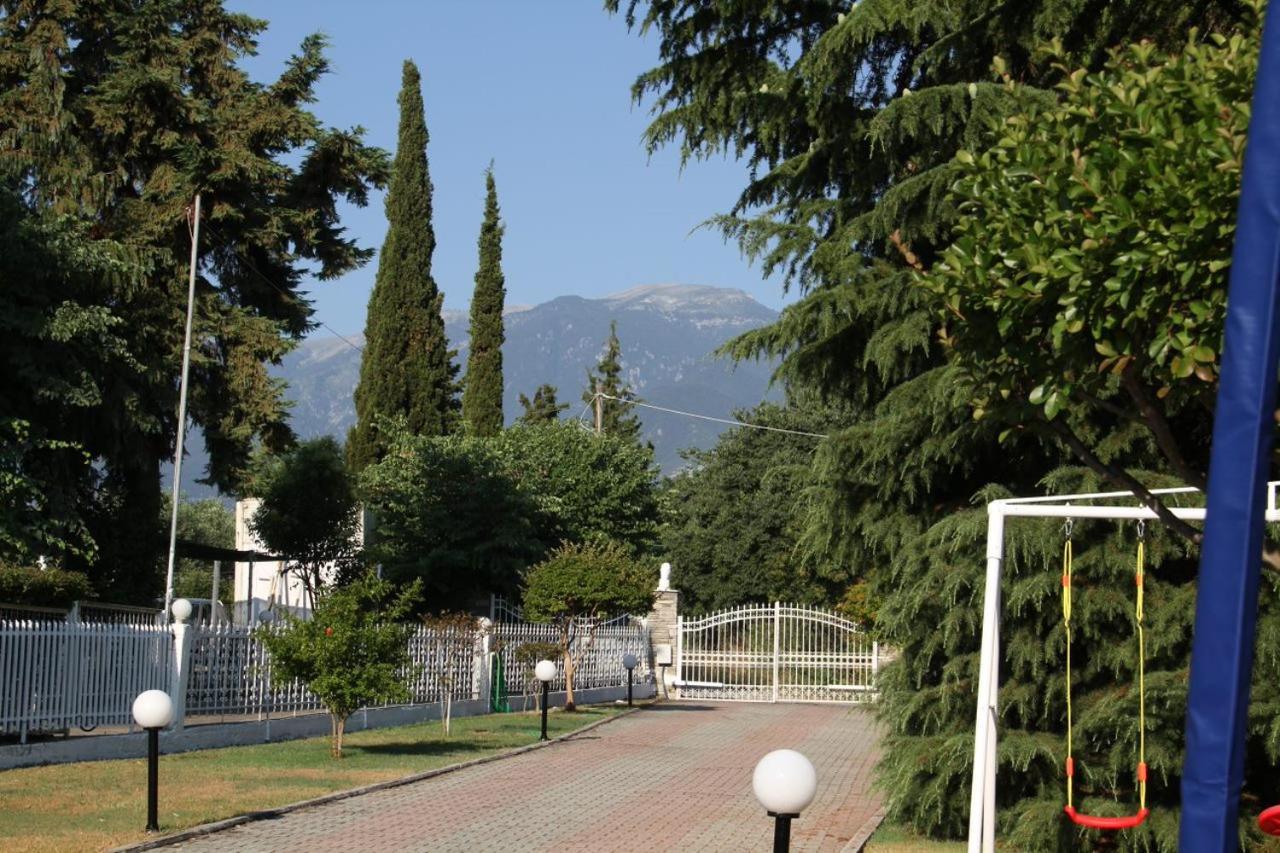 Sunrise Luxury Villa Πλάκα Λιτόχωρου Εξωτερικό φωτογραφία